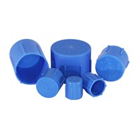 Cap, Plastic -8 Female 3/4-16, BLUE