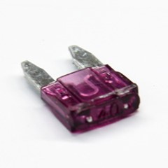 Mini Blade Fuse, 40 Amps, Dark Purple
