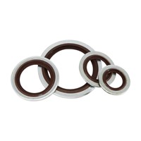 Bonded Washer, SPCC/FKM75, BSP 7/8"