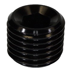 Plug, Internal Pipe 1/4" NPT Male, Black
