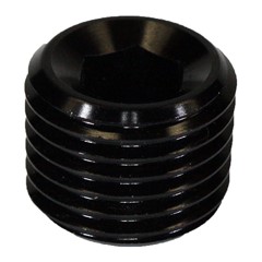Internal Pipe Plug 1/4" MPT, Black