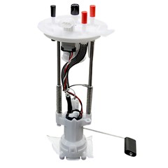 Pump Module, 06-08 F150, 5.4L (V)