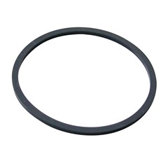 Fuel Sender Gasket, 99-02 F-Body
